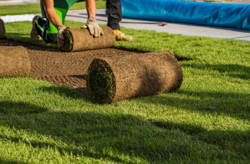 Lawn Regrading Process