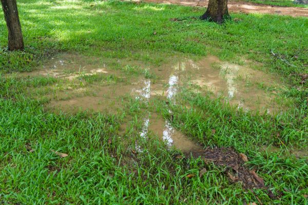 Cost of Storm Water Drainage Service in Independence