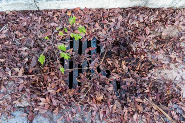 Cost of Yard Drain Unclogging in Independence