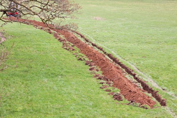Cost of Swale Installation in Independence