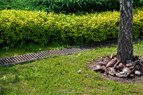 Cost of Residential Landscape Drainage in Independence