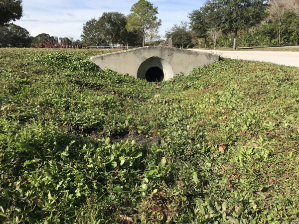 Cost of Swale Drainage Service in Independence