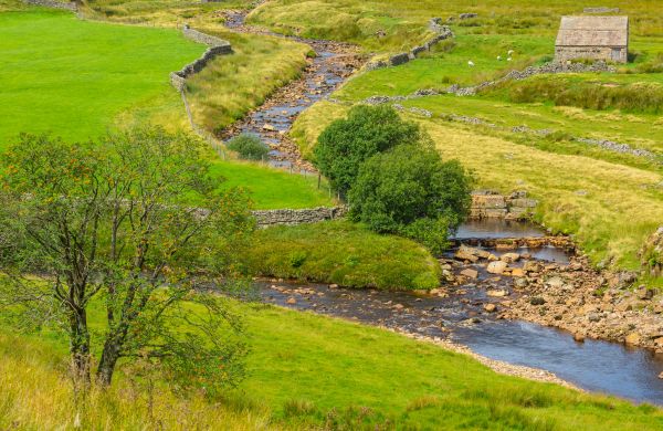 Cost of Swale Repair in Independence